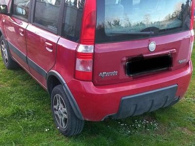 Usata Fiat Panda Climbing 60 CV (44 kW) 2009 Rosso Utilitaria