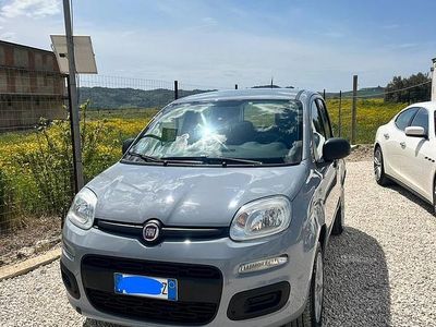 Usata Fiat Panda 80 CV (58 kW) 2018 Grigio Utilitaria