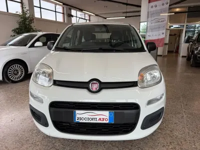 Usata Fiat Panda Easy 69 CV (50 kW) 2017 Bianco Utilitaria