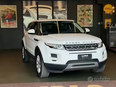 Begagnad Land Rover Range Rover evoque Pure 150 HK (110 kW) 2014 Vit SUV