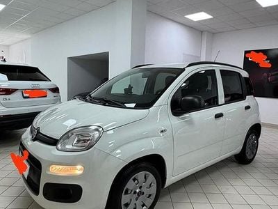 Usata Fiat Panda 75 CV (55 kW) 2018 Utilitaria