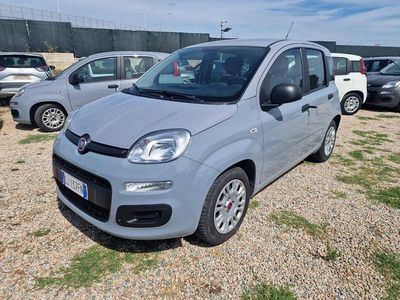 Usata Fiat Panda 70 CV (51 kW) 2022 Grigio Utilitaria