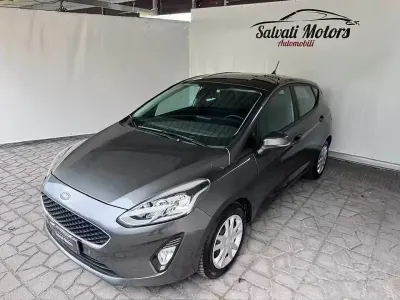Occasion Ford Fiesta Business Edition 86 PK (63 kW) 2020 Grijs Hatchback