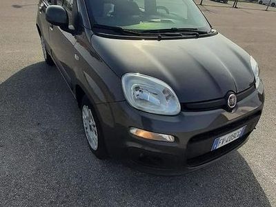 Usata Fiat Panda 69 CV (50 kW) 2019 Grigio Utilitaria