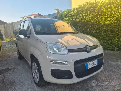 Usata Fiat Panda Easy 85 CV (62 kW) 2015 Beige Utilitaria