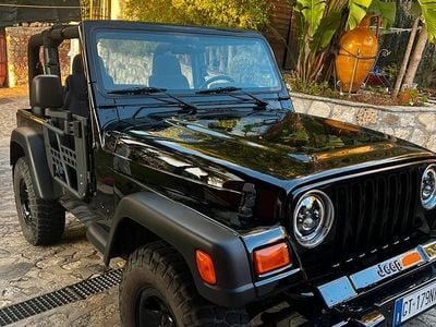 Usata Jeep Wrangler 118 CV (86 kW) 2002 SUV
