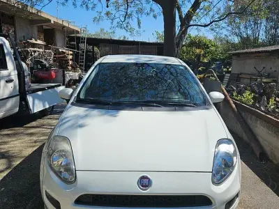 Usata Fiat Punto Evo 75 CV (55 kW) 2014 Utilitaria