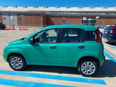 Usata Fiat Panda 70 CV (51 kW) 2015 Verde Utilitaria