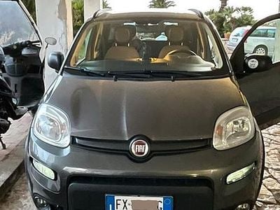 Gebraucht Fiat Panda 4x4 Wild 85 PS (62 kW) 2019 Grau Kleinwagen