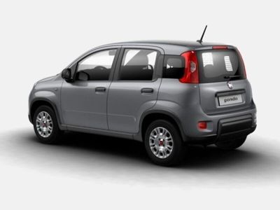 usata Fiat Panda 3ª serie 1.2 Easy