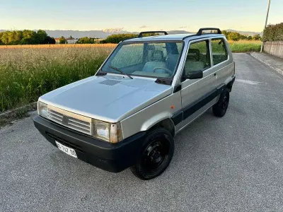 Usata Fiat Panda 4x4 Trekking 54 CV (39 kW) 1998 Argento Utilitaria