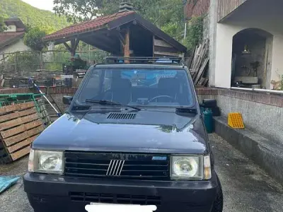 Usata Fiat Panda 4x4 Trekking 50 CV (36 kW) 1993 Grigio Utilitaria