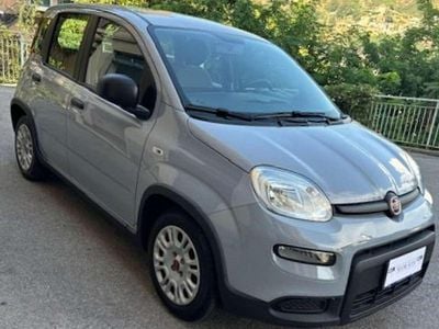 Usata Fiat Panda 69 CV (50 kW) 2022 Grigio moda Utilitaria