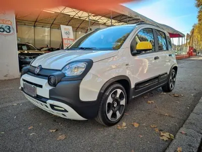 Usata Fiat Panda Cross 69 CV (50 kW) 2025 Bianco Utilitaria
