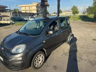 Usata Fiat Panda Easy 69 CV (50 kW) 2019 Utilitaria