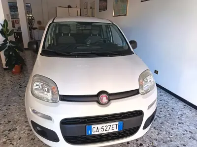 Usata Fiat Panda Easy 69 CV (50 kW) 2020 Bianco Utilitaria