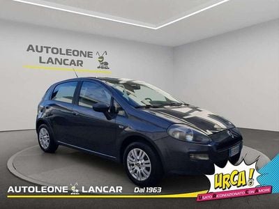 Usata Fiat Punto Lounge 77 CV (56 kW) 2014 Grigio Berlina