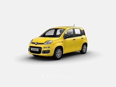 Nuova Fiat Panda S 69 CV (50 kW) 2026 Giallo Utilitaria