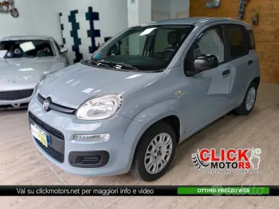 Usata Fiat Panda Easy 69 CV (50 kW) 2018 Grigio Utilitaria