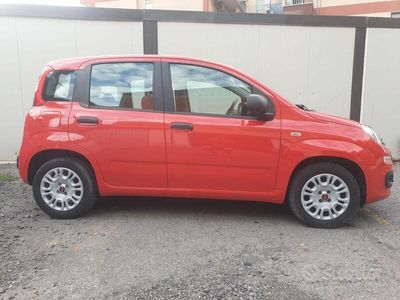 usata Fiat Panda 3ª serie - 2017