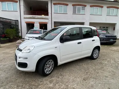 Usata Fiat Panda Easy 69 CV (50 kW) 2020 Bianco Utilitaria