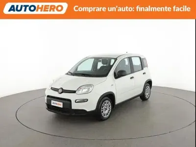 Usata Fiat Panda S 70 CV (51 kW) 2024 Bianco Utilitaria
