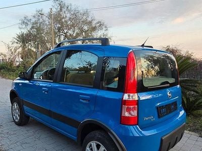 Usata Fiat Panda 4x4 Climbing 75 CV (55 kW) 2006 Blu Utilitaria