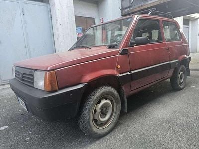 Usata Fiat Panda 4x4 Trekking 54 CV (39 kW) 2002 Rosso Utilitaria