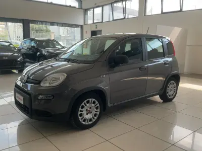Usata Fiat Panda 69 CV (50 kW) 2022 Grigio Utilitaria