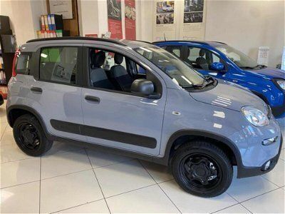 usata Fiat Panda 4x4 0.9 TwinAir Turbo S&S Wild nuovo