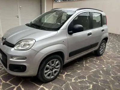 Usata Fiat Panda Easy 80 CV (58 kW) 2014 Argento Utilitaria