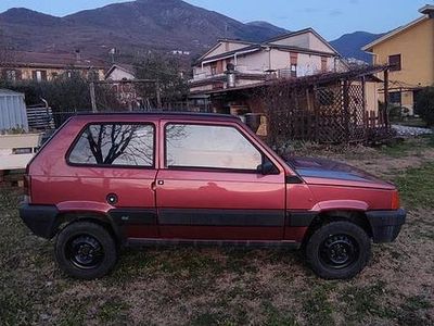 Usata Fiat Panda 4x4 50 CV (36 kW) 1993 Utilitaria