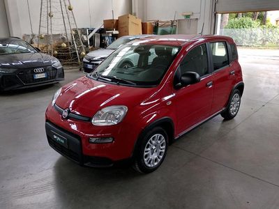 Usata Fiat Panda S 69 CV (50 kW) 2024 Rosso Utilitaria
