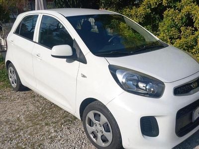 Usata Kia Picanto 67 CV (49 kW) 2016 Bianco Utilitaria