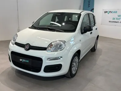 Nuova Fiat Panda 70 CV (51 kW) 2025 Bianco Utilitaria