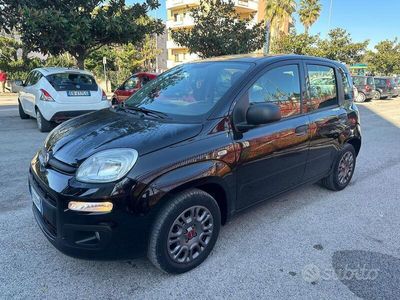 usata Fiat Panda Panda 1.2 Easy