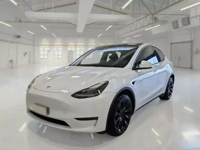 Usata Tesla Model Y 152 kW (208 CV) 2023 SUV