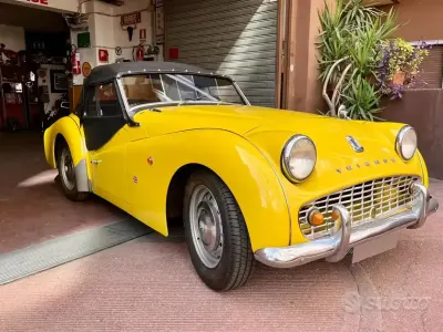 Usata Triumph TR3 101 CV (74 kW) 1950 Giallo Cabrio