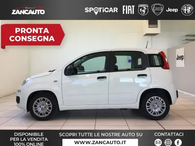 Nuova Fiat Panda Pop 65 CV (47 kW) 2026 Bianco Utilitaria