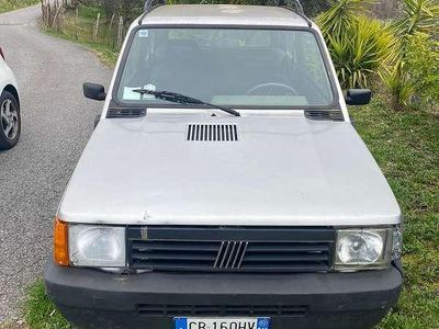 Usata Fiat Panda 4x4 Trekking 54 CV (39 kW) 2003 Utilitaria