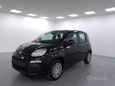 Nuova Fiat Panda Icon 70 CV (51 kW) 2025 Bianco Berlina