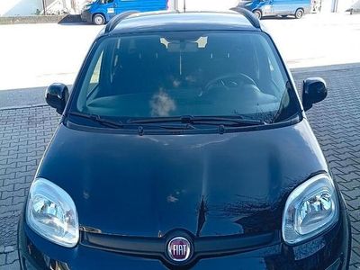 Usata Fiat Panda 2023 Nero Utilitaria