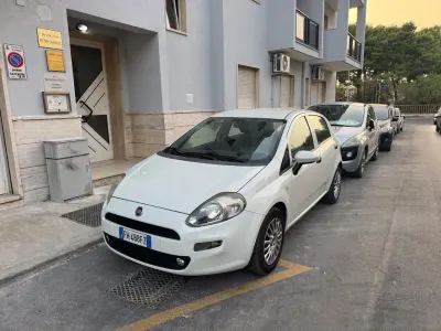 Usata Fiat Punto Evo
