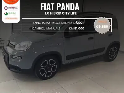 Usata Fiat Panda City Life 69 CV (50 kW) 2021 Grigio Utilitaria