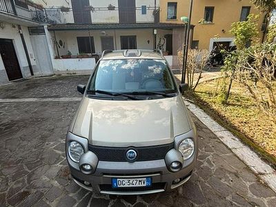 Usata Fiat Panda 4x4 Cross 95 CV (69 kW) 2007 Marrone Utilitaria