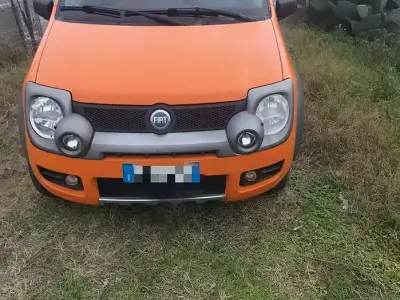 Usata Fiat Panda 4x4 Cross 2006 Utilitaria