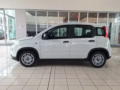 Usata Fiat Panda S 69 CV (50 kW) 2023 Bianco Utilitaria