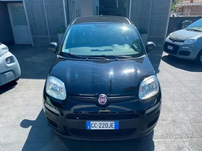 Usata Fiat Panda Easy 69 CV (50 kW) 2020 Nero Utilitaria