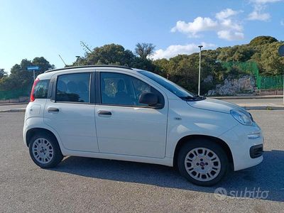 Usata Fiat Panda Easy 69 CV (50 kW) 2014 Bianco Utilitaria