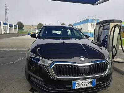 Usata Skoda Octavia